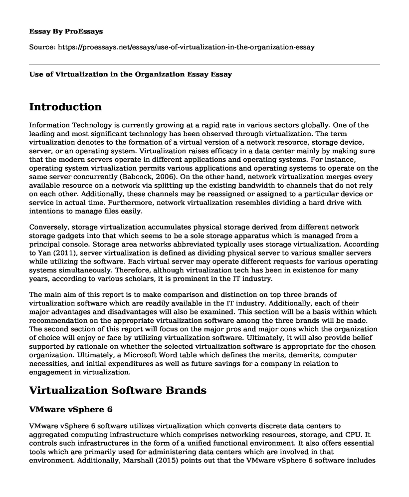 Use of Virtualization in the Organization Essay