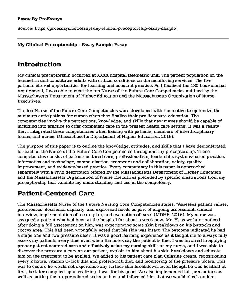 My Clinical Preceptorship - Essay Sample