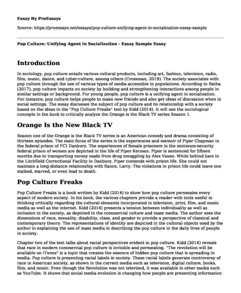 Pop Culture: Unifying Agent in Socialization - Essay Sample