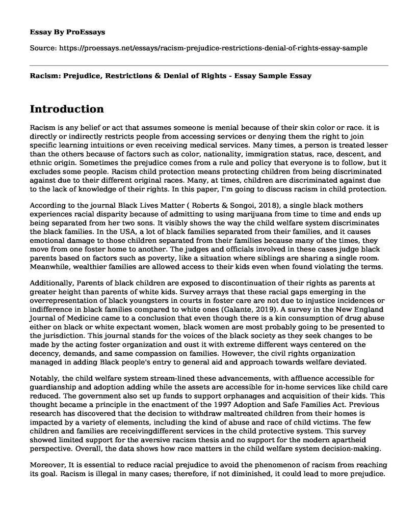 Racism: Prejudice, Restrictions & Denial of Rights - Essay Sample