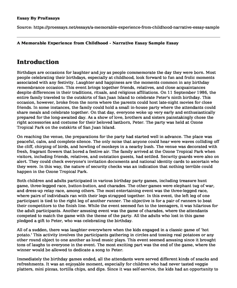 A Memorable Experience from Childhood - Narrative Essay Sample