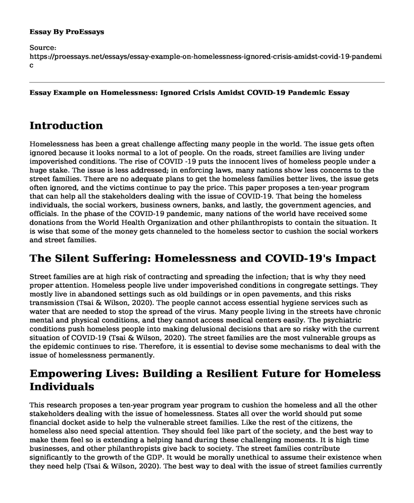 Essay Example on Homelessness: Ignored Crisis Amidst COVID-19 Pandemic