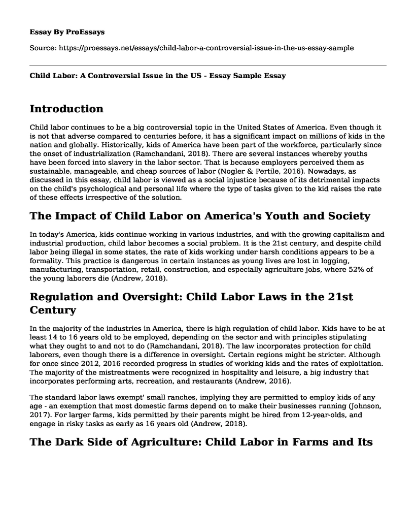 Child Labor: A Controversial Issue in the US - Essay Sample