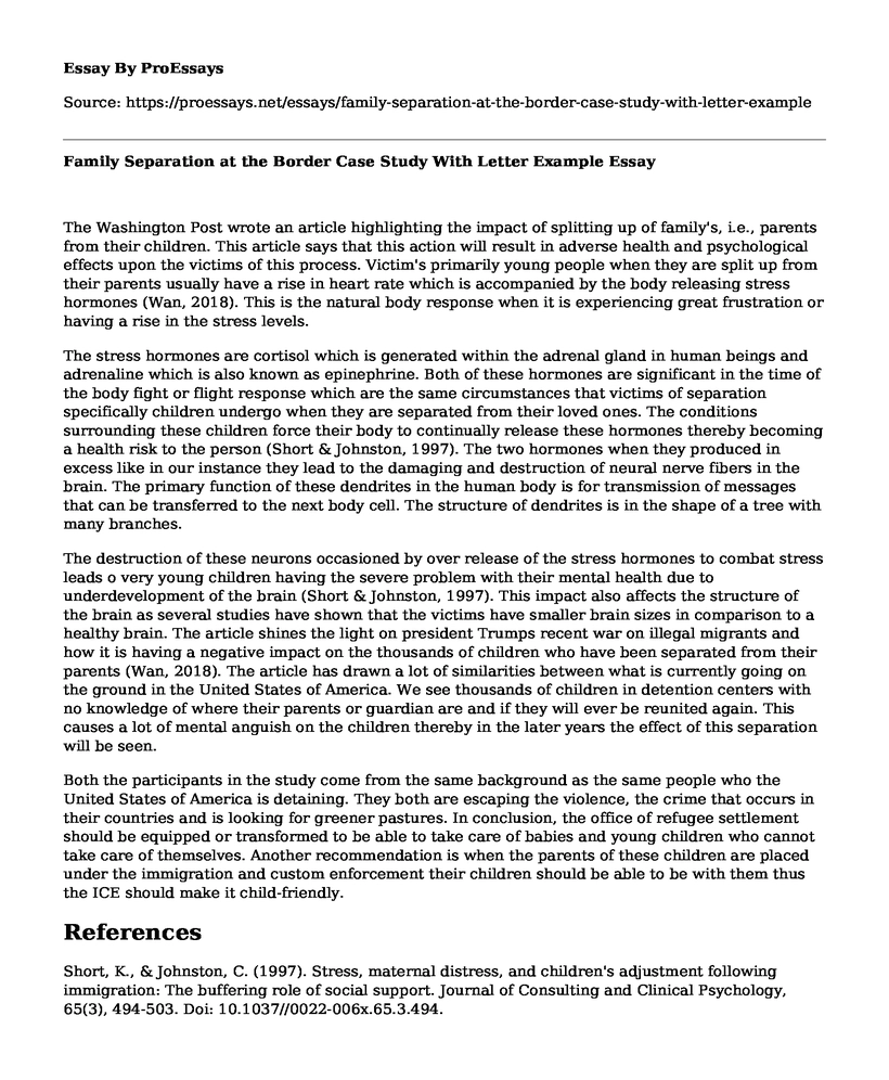 Family Separation at the Border Case Study With Letter Example