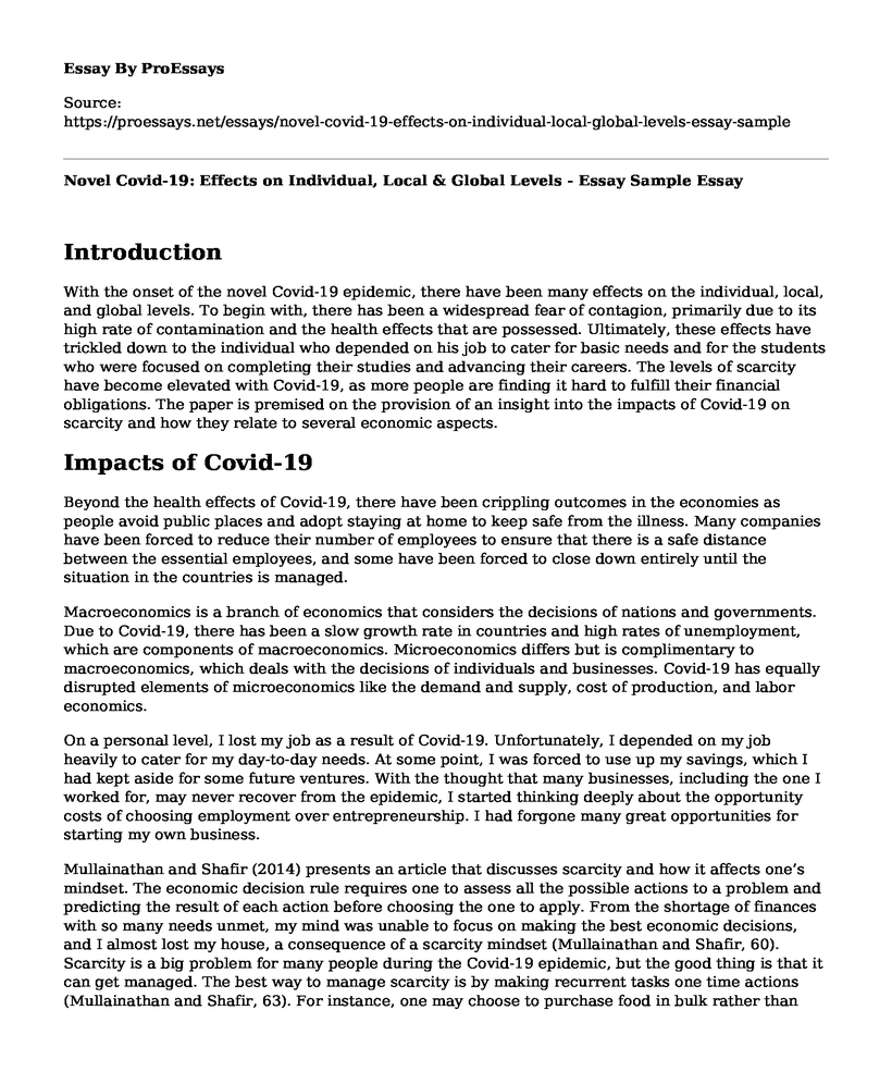 Novel Covid-19: Effects on Individual, Local & Global Levels - Essay Sample