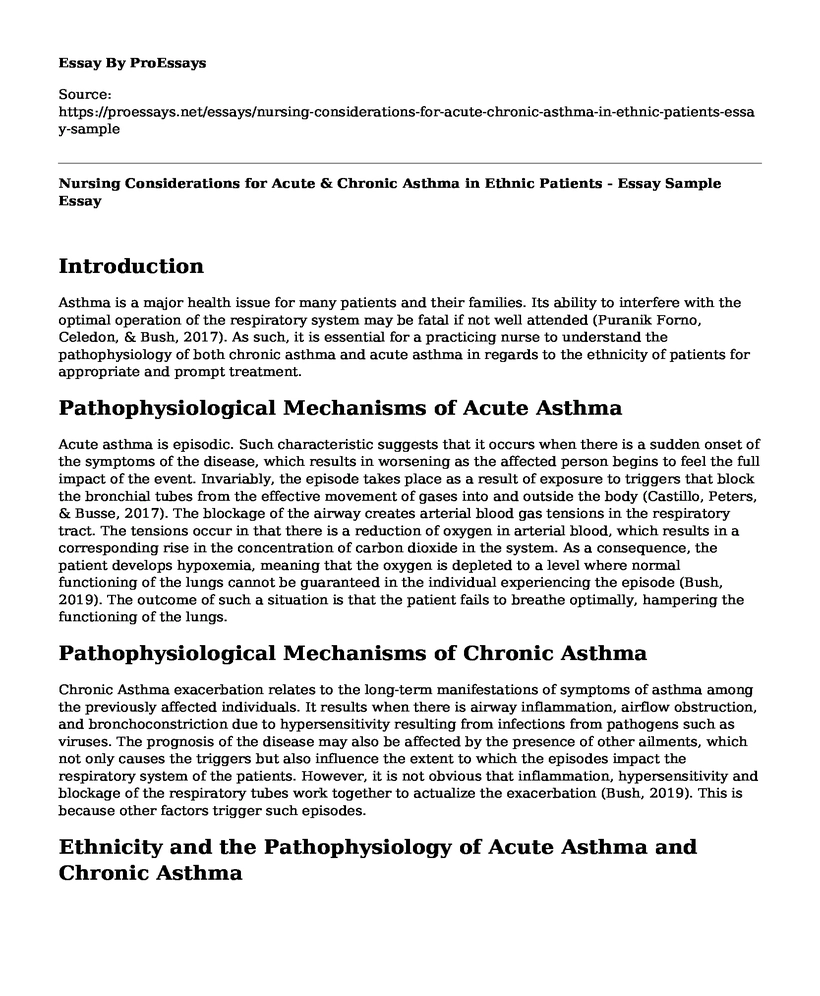 Nursing Considerations for Acute & Chronic Asthma in Ethnic Patients - Essay Sample