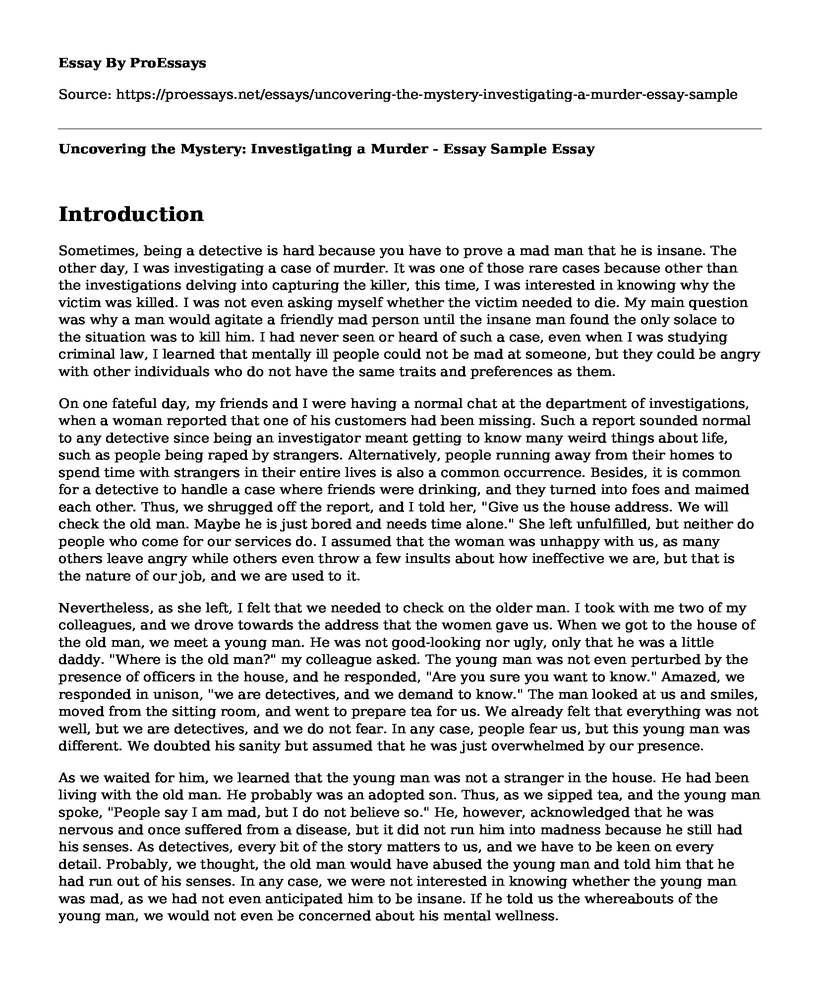 Uncovering the Mystery: Investigating a Murder -  Essay Sample