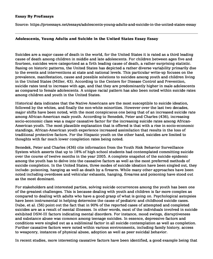 Adolescents, Young Adults and Suicide in the United States Essay