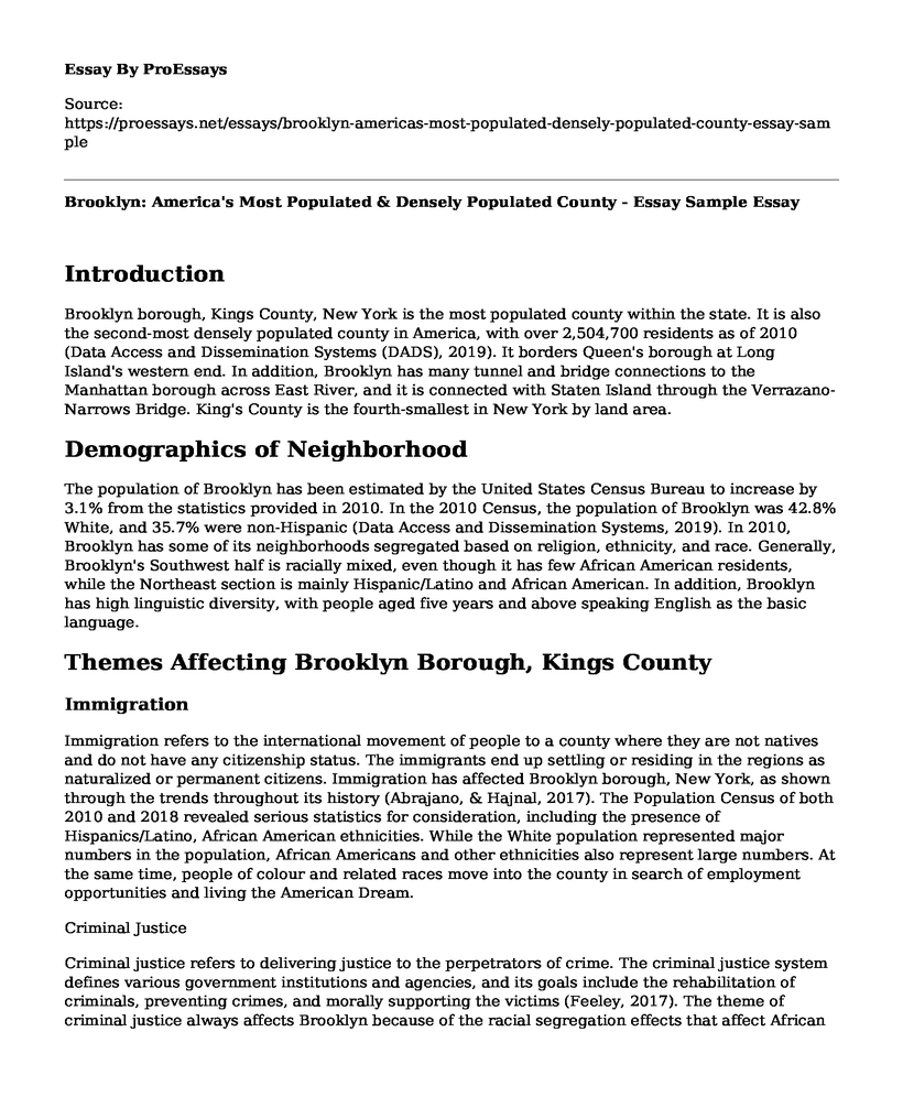 Brooklyn: America's Most Populated & Densely Populated County - Essay Sample