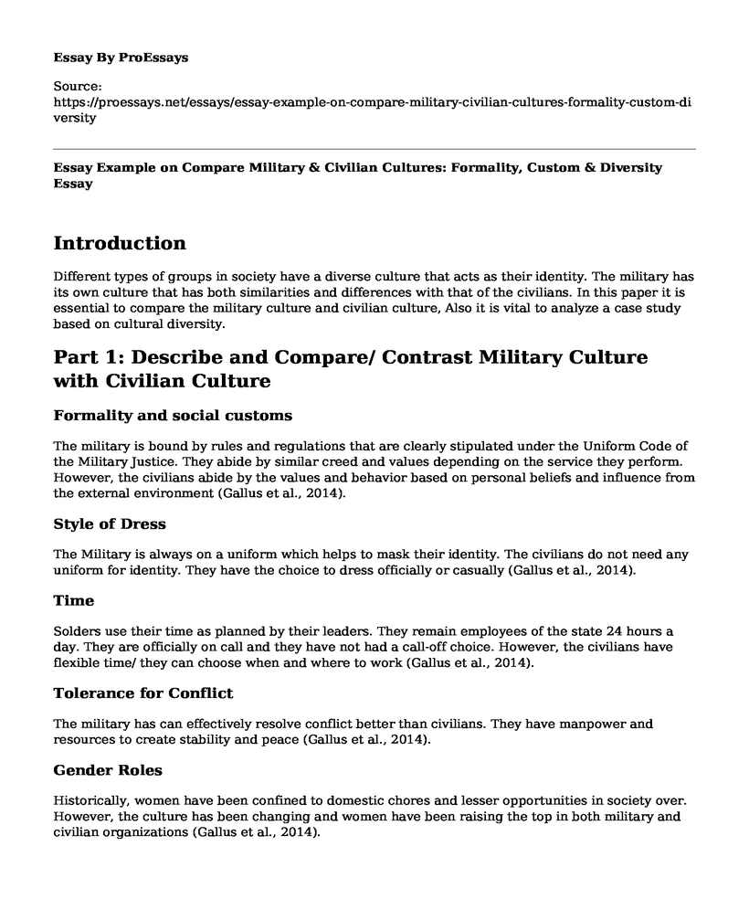 Essay Example on Compare Military & Civilian Cultures: Formality, Custom & Diversity