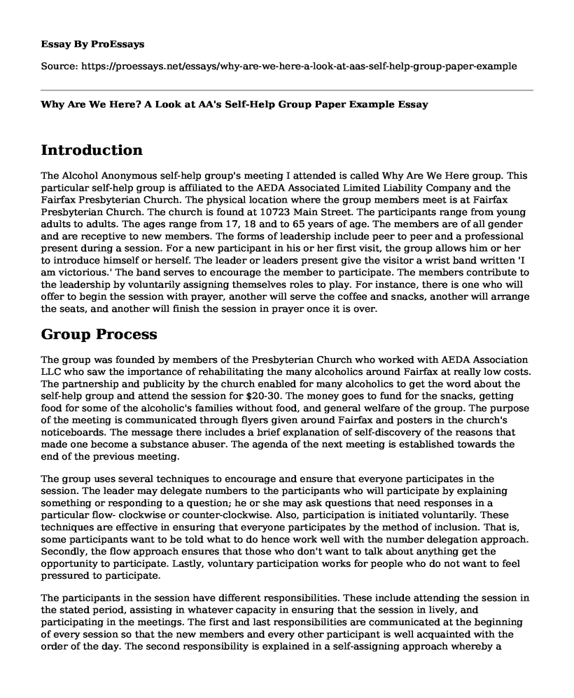 Why Are We Here? A Look at AA's Self-Help Group Paper Example
