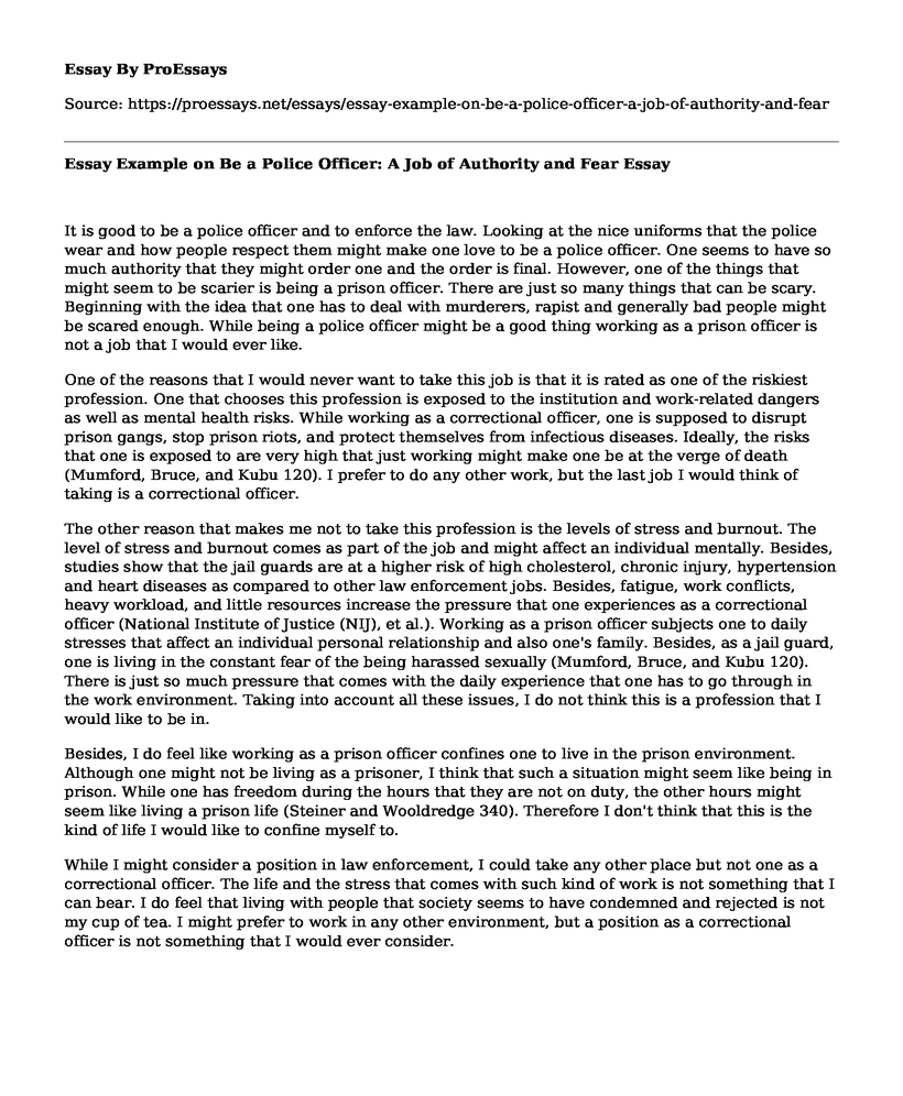 Essay Example on Be a Police Officer: A Job of Authority and Fear