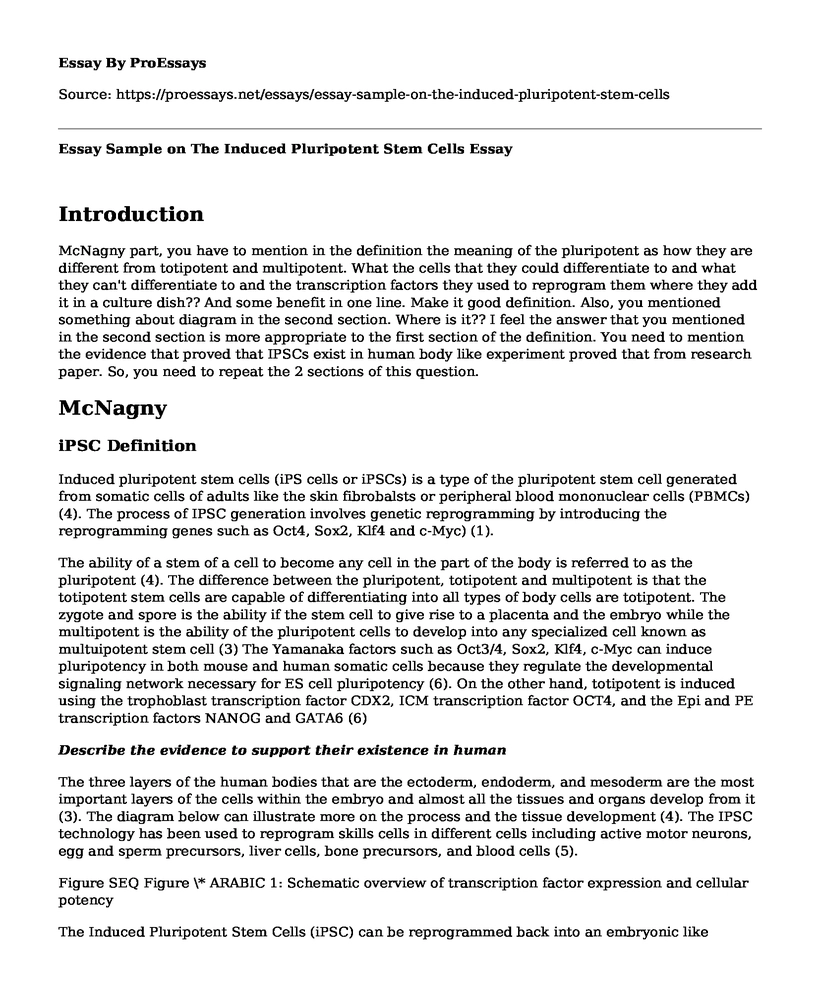 Essay Sample on The Induced Pluripotent Stem Cells