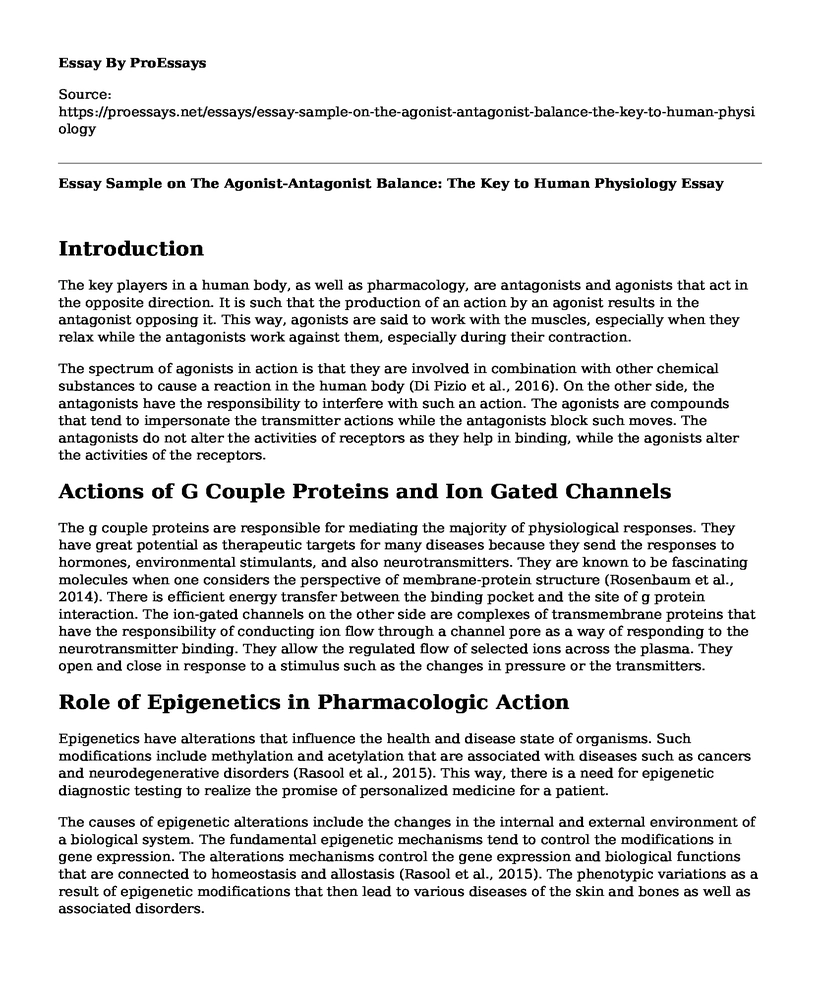 Essay Sample on The Agonist-Antagonist Balance: The Key to Human Physiology