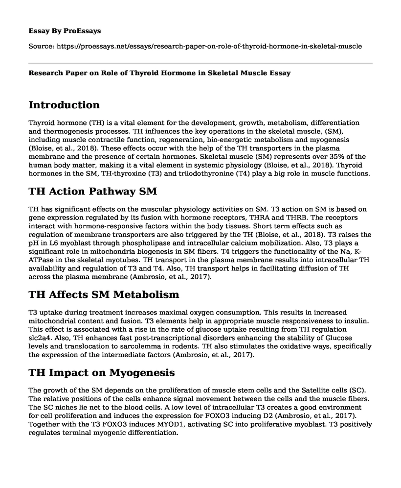 Research Paper on Role of Thyroid Hormone in Skeletal Muscle