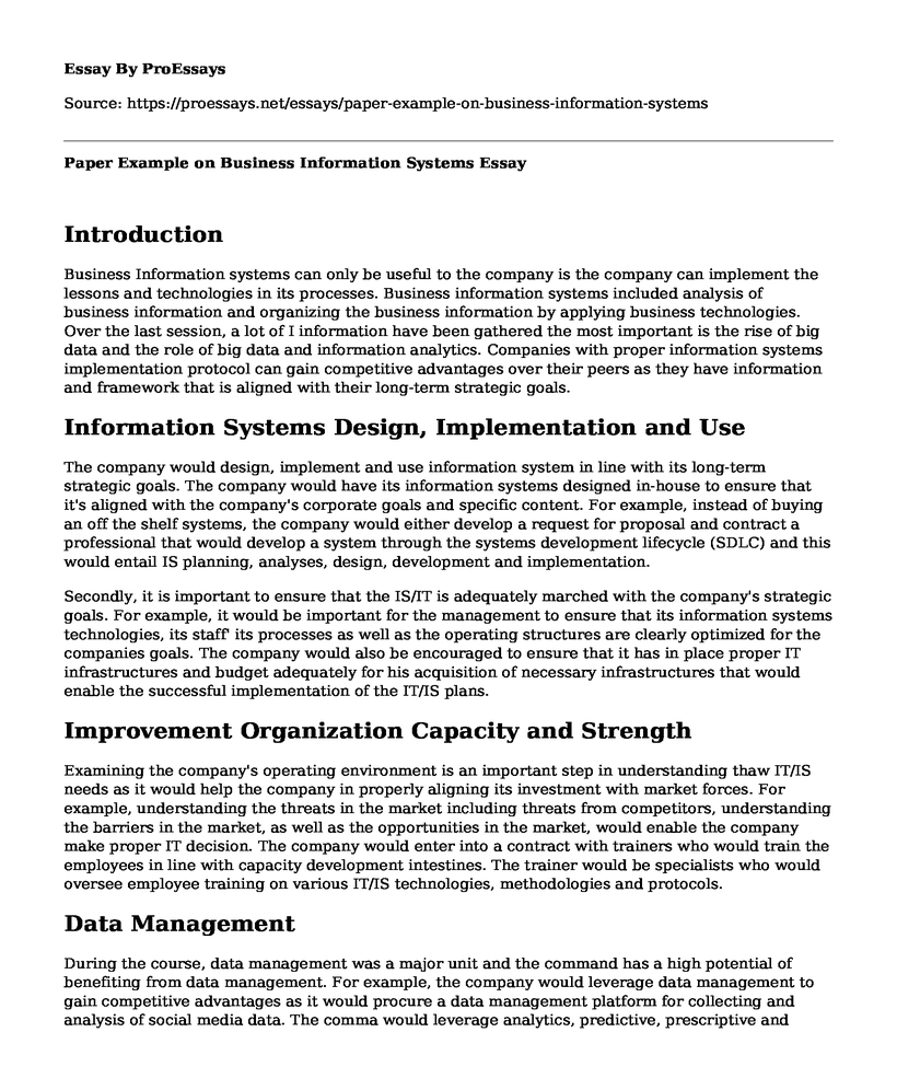 Paper Example on Business Information Systems