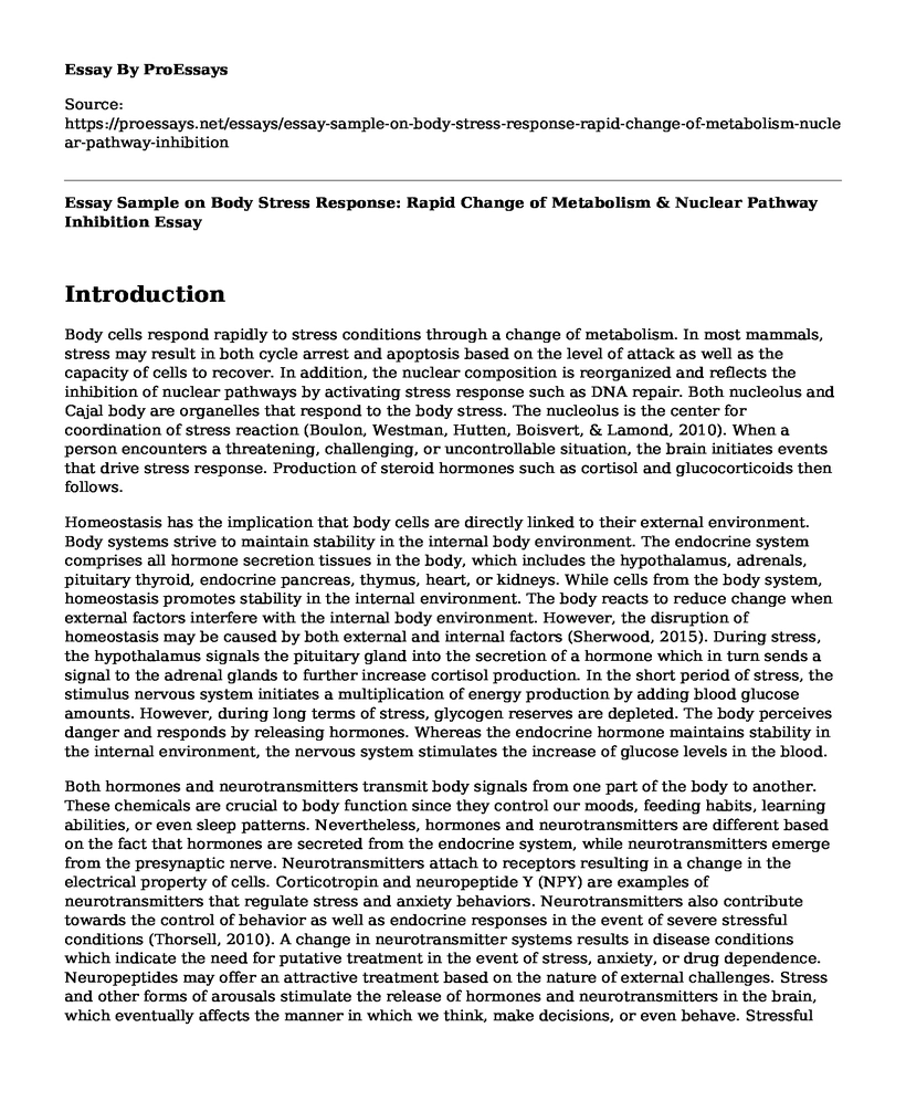 Essay Sample on Body Stress Response: Rapid Change of Metabolism & Nuclear Pathway Inhibition