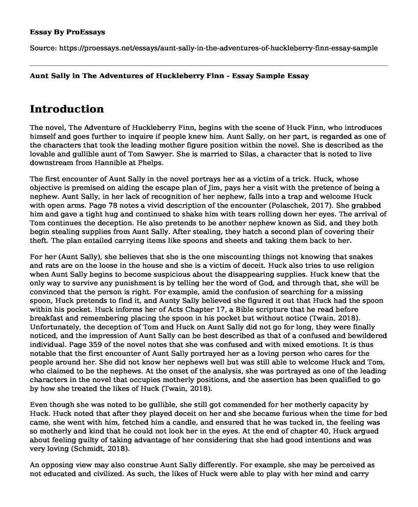 Aunt Sally in The Adventures of Huckleberry Finn - Essay Sample