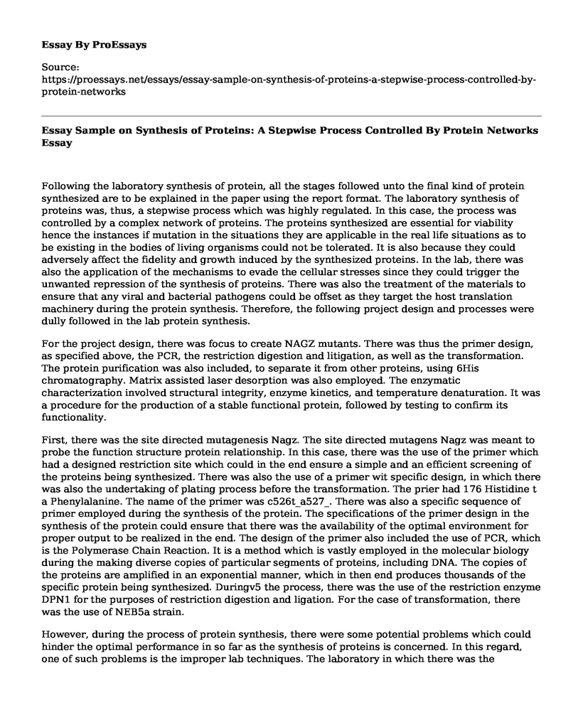 Essay Sample on Synthesis of Proteins: A Stepwise Process Controlled By Protein Networks