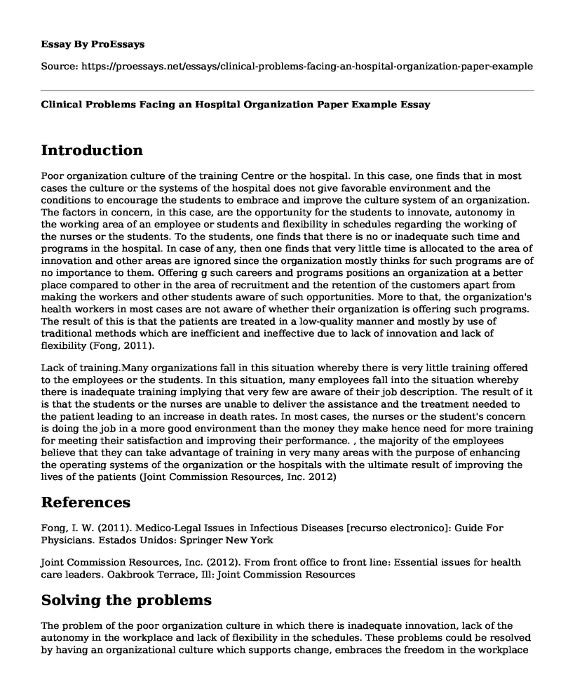 Clinical Problems Facing an Hospital Organization Paper Example