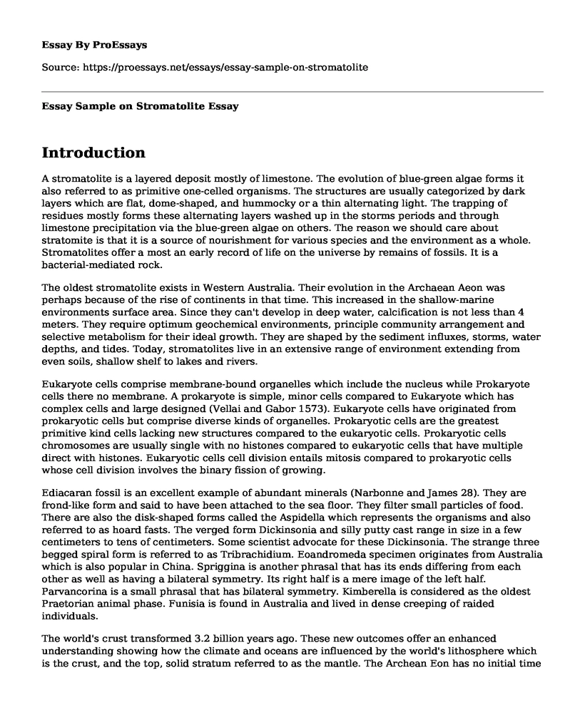 Essay Sample on Stromatolite