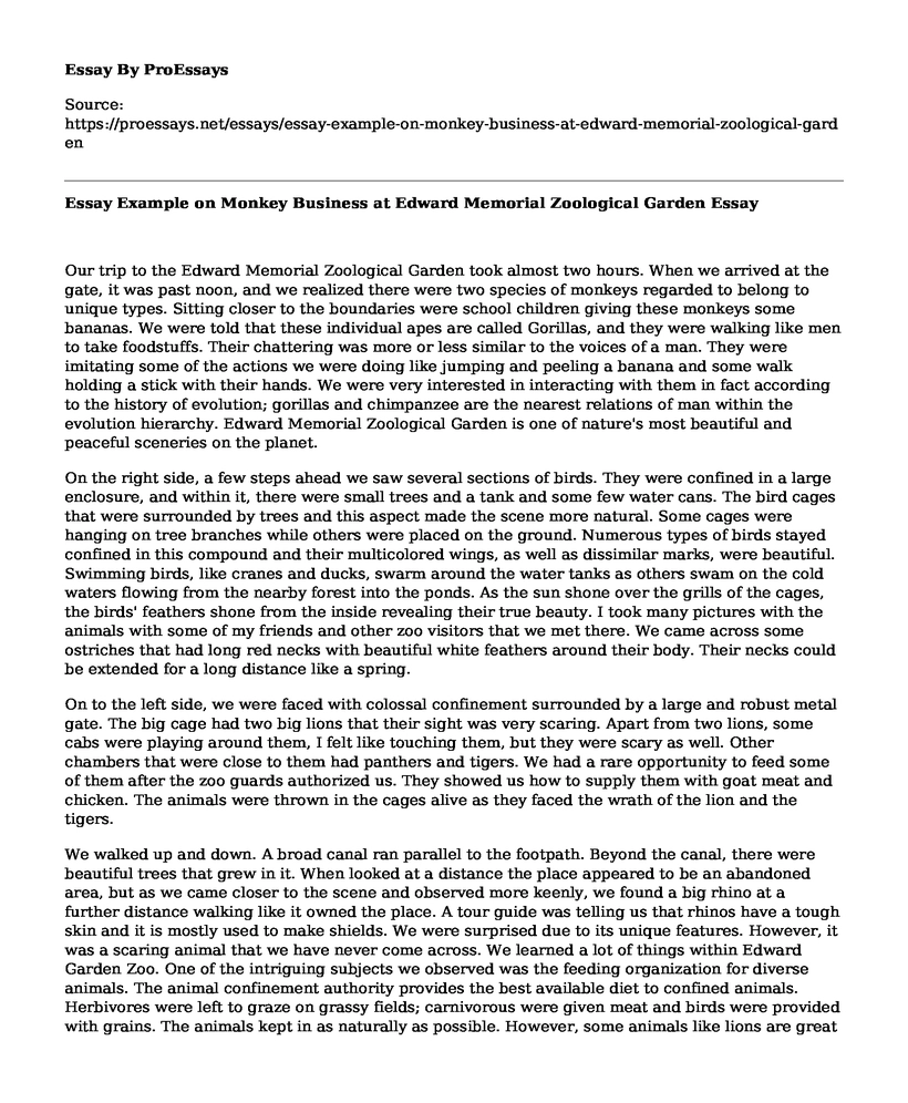 Essay Example on Monkey Business at Edward Memorial Zoological Garden