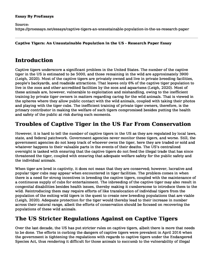 Captive Tigers: An Unsustainable Population in the US - Research Paper