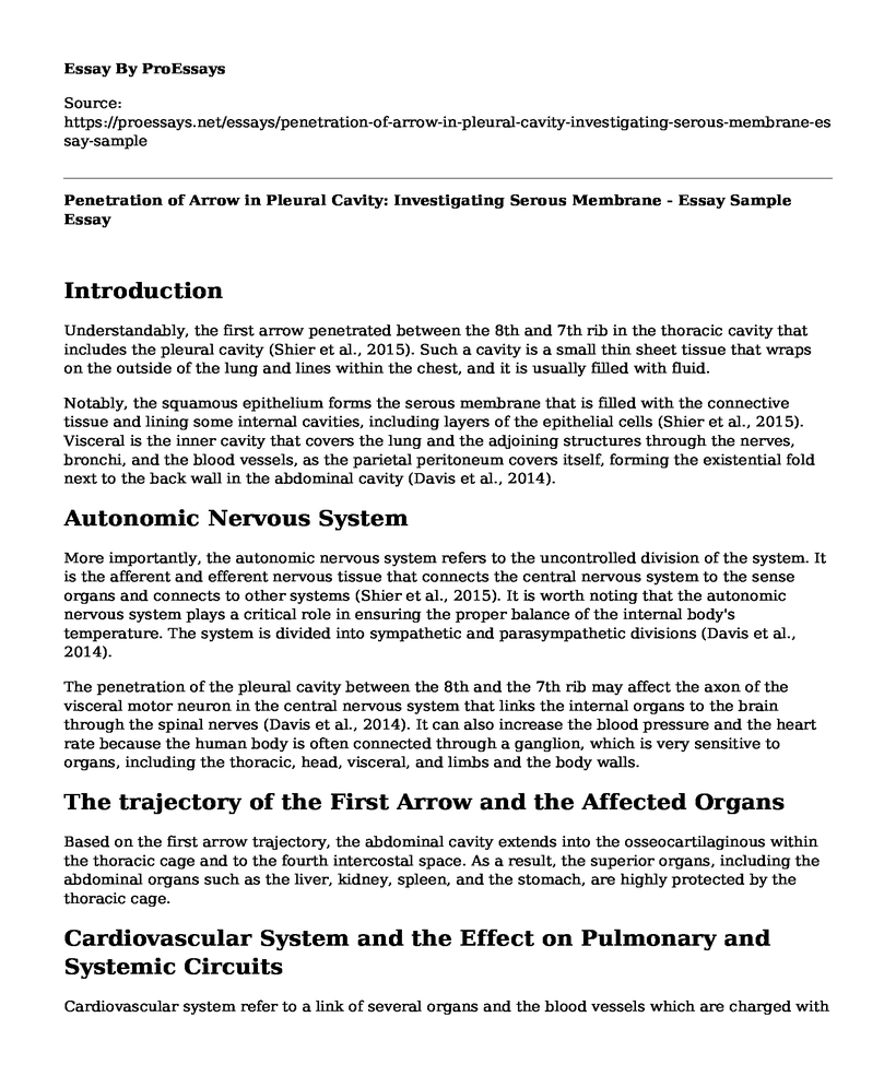 Penetration of Arrow in Pleural Cavity: Investigating Serous Membrane - Essay Sample