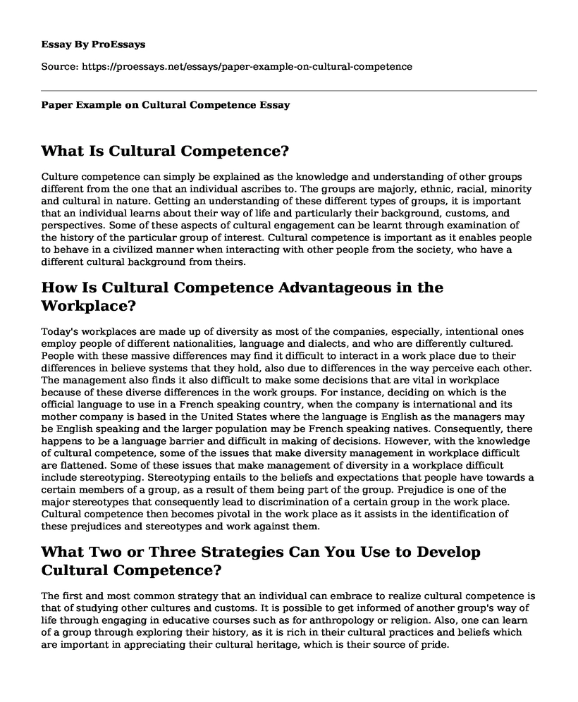 Paper Example on Cultural Competence