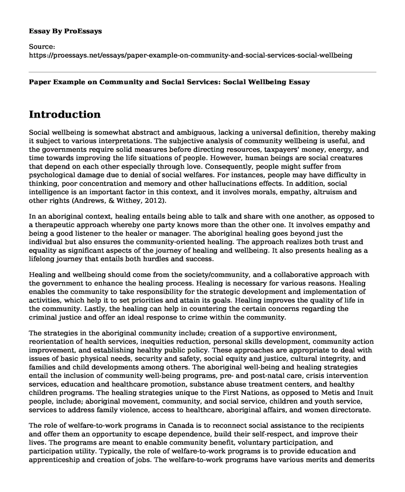 Paper Example on Community and Social Services: Social Wellbeing