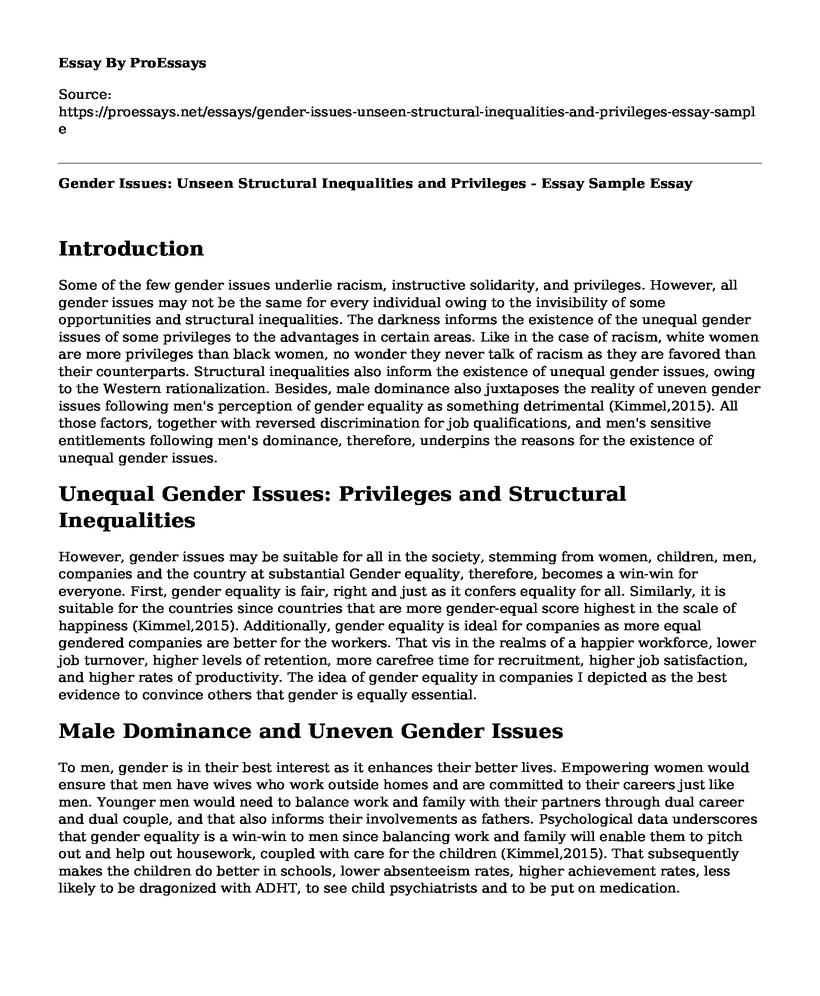 Gender Issues: Unseen Structural Inequalities and Privileges - Essay Sample