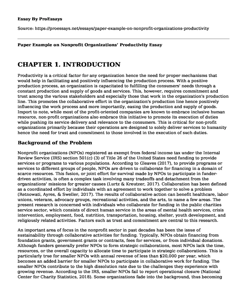 Paper Example on Nonprofit Organizations' Productivity