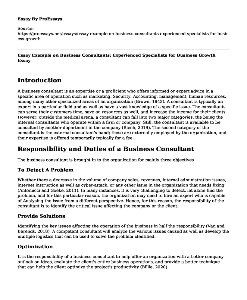 Essay Example on Business Consultants: Experienced Specialists for Business Growth