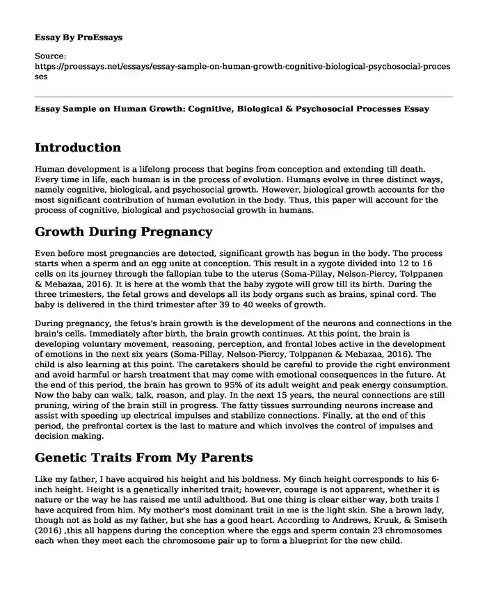 Essay Sample on Human Growth: Cognitive, Biological & Psychosocial Processes