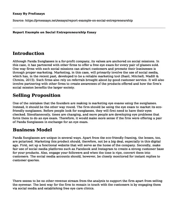 Report Example on Social Entrepreneurship