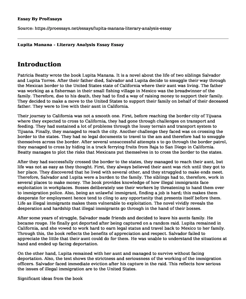 Lupita Manana - Literary Analysis Essay