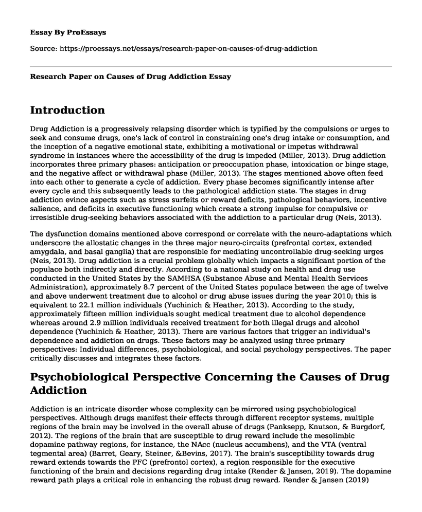 drug addiction introduction essay