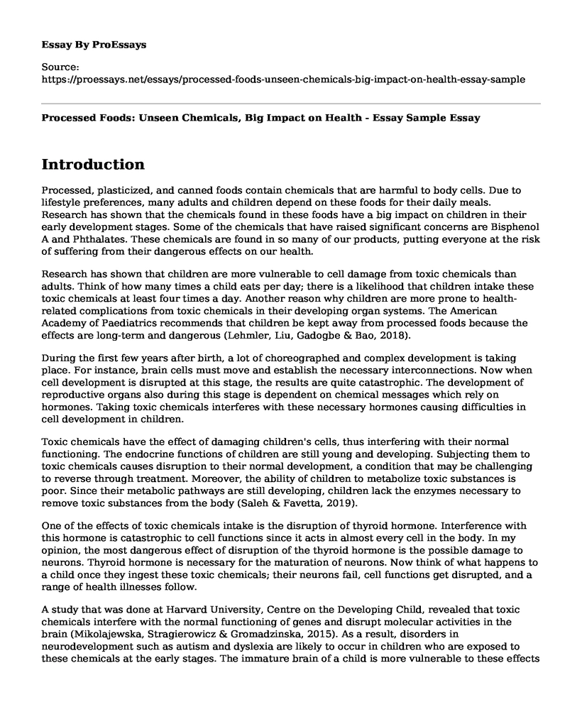 Processed Foods: Unseen Chemicals, Big Impact on Health - Essay Sample