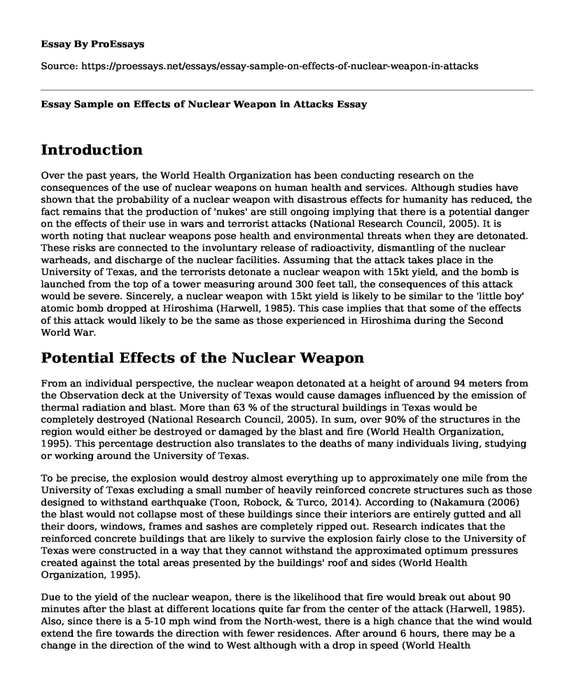 Essay Sample on Effects of Nuclear Weapon in Attacks