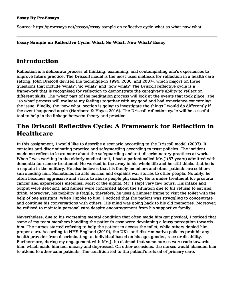  Essay Sample On Reflective Cycle What So What Now What Free 