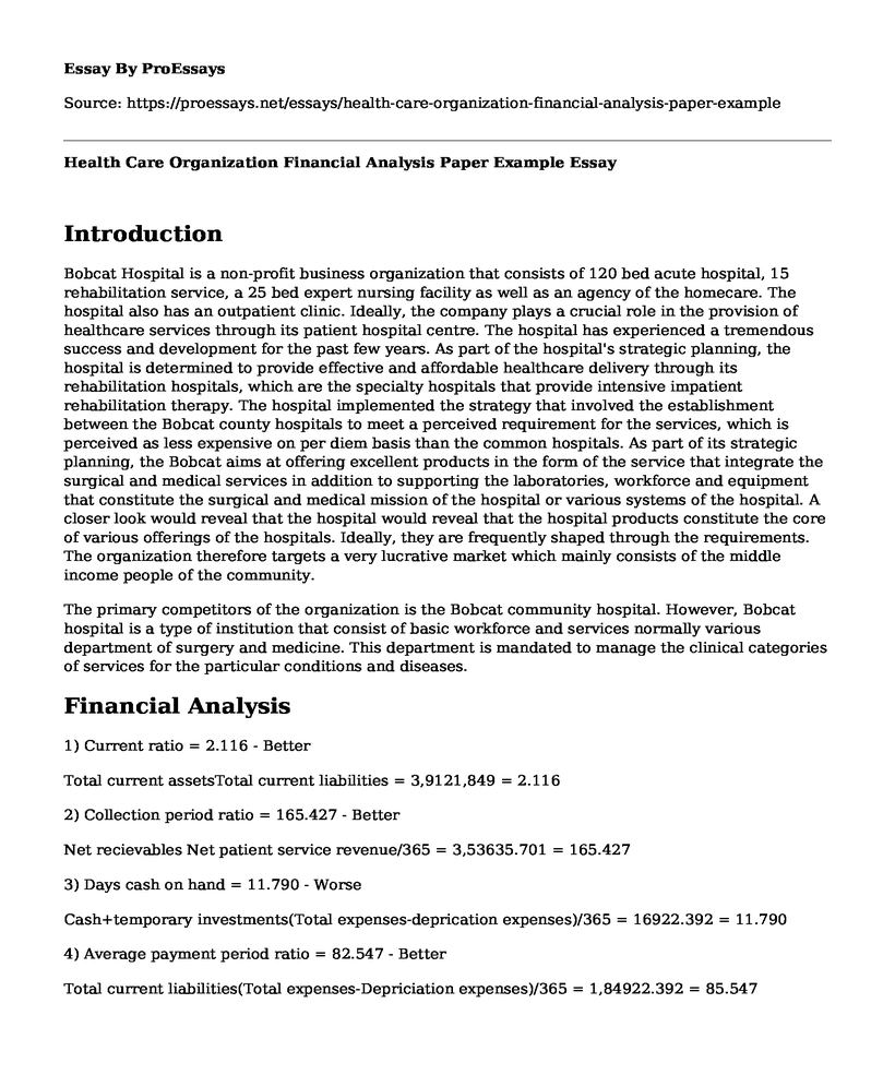 Health Care Organization Financial Analysis Paper Example