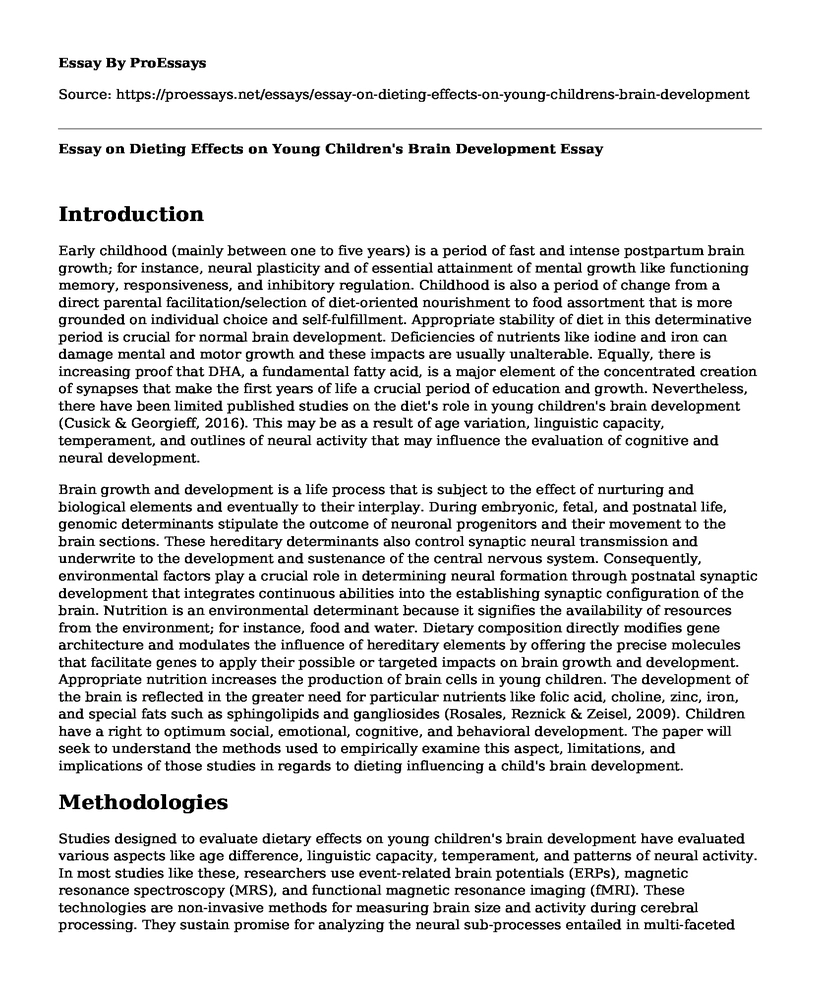 Essay on Dieting Effects on Young Children's Brain Development