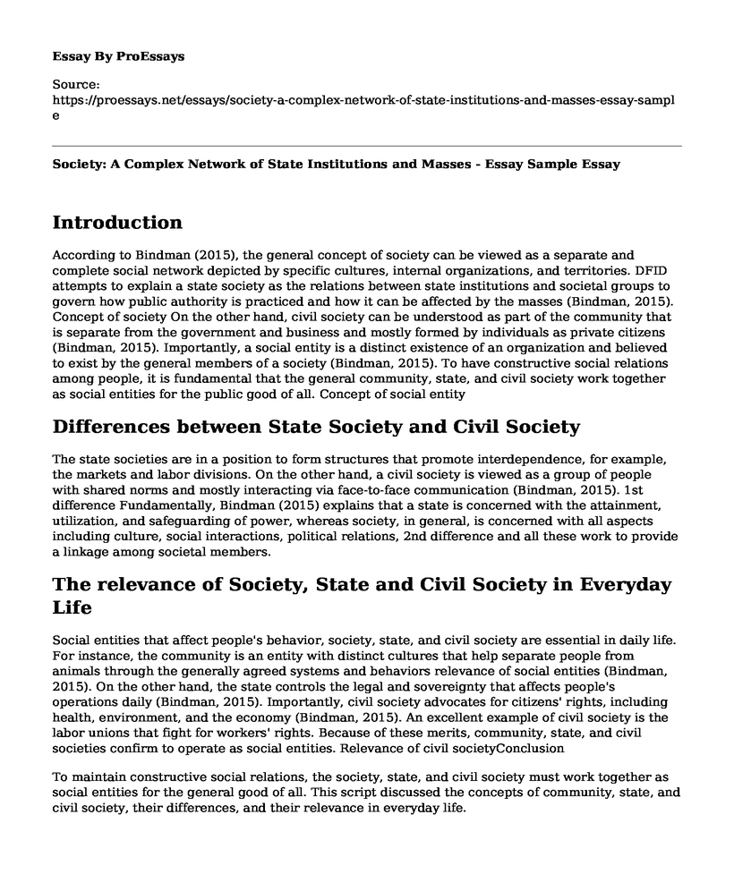 Society: A Complex Network of State Institutions and Masses - Essay Sample