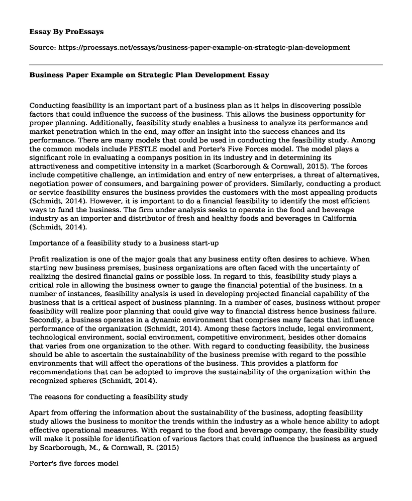 Business Paper Example on Strategic Plan Development