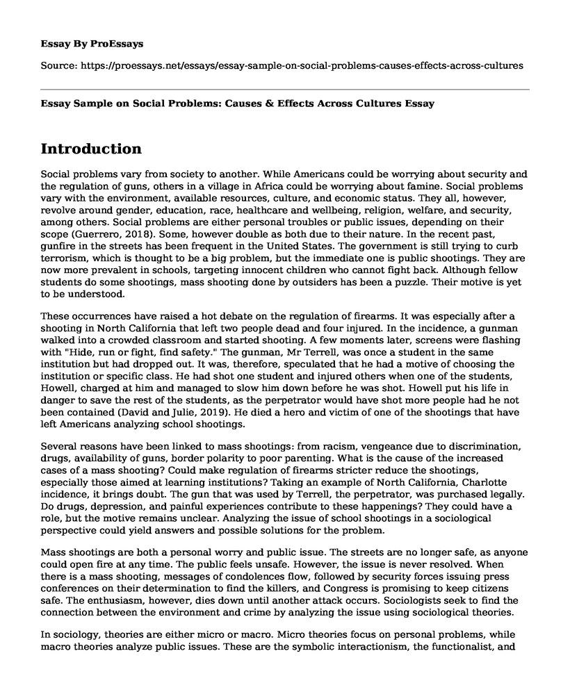 Essay Sample on Social Problems: Causes & Effects Across Cultures