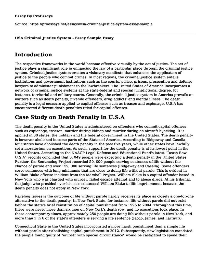 USA Criminal Justice System - Essay Sample