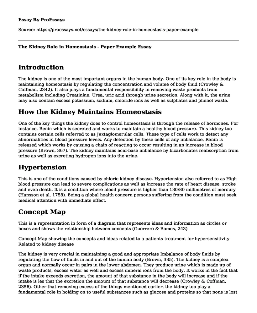 The Kidney Role in Homeostasis - Paper Example 