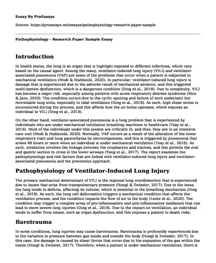 Pathophysiology - Research Paper Sample