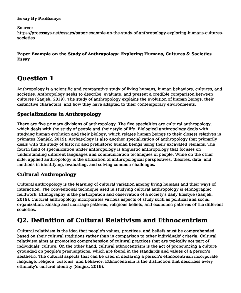 Paper Example on the Study of Anthropology: Exploring Humans, Cultures & Societies