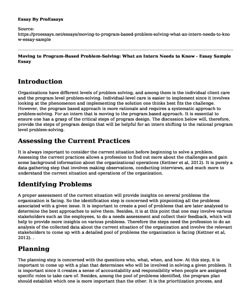 Moving to Program-Based Problem-Solving: What an Intern Needs to Know - Essay Sample